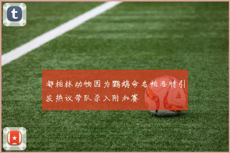 都柏林动物园为鹦鹉命名帕洛特引发热议带队杀入附加赛
