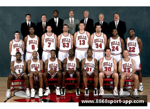 NBA球队防守排名及其影响因素分析
